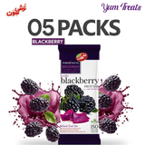 Torshi Sevan | Blackberry Lavashak Fruit Bar – 5 Packs