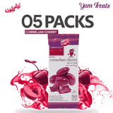 Torshi Sevan | Cornelian Cherry Lavashak Fruit Bar – 5 Packs